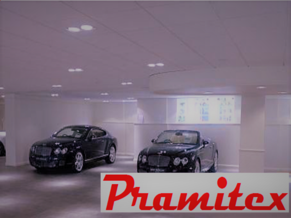 Pramitex 1